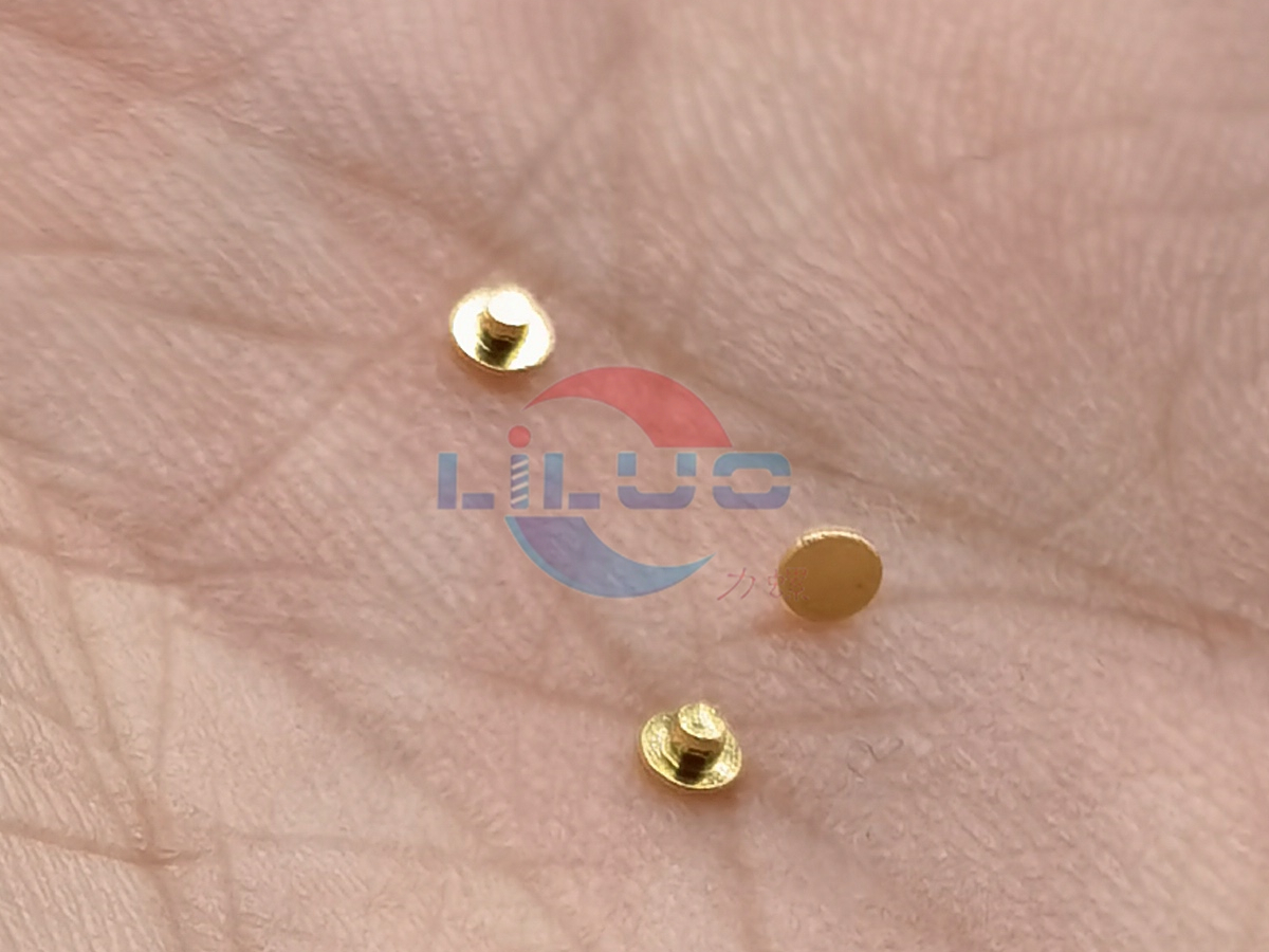 精密鍍金鉚（mǎo）釘1x0.97SUS316.jpg